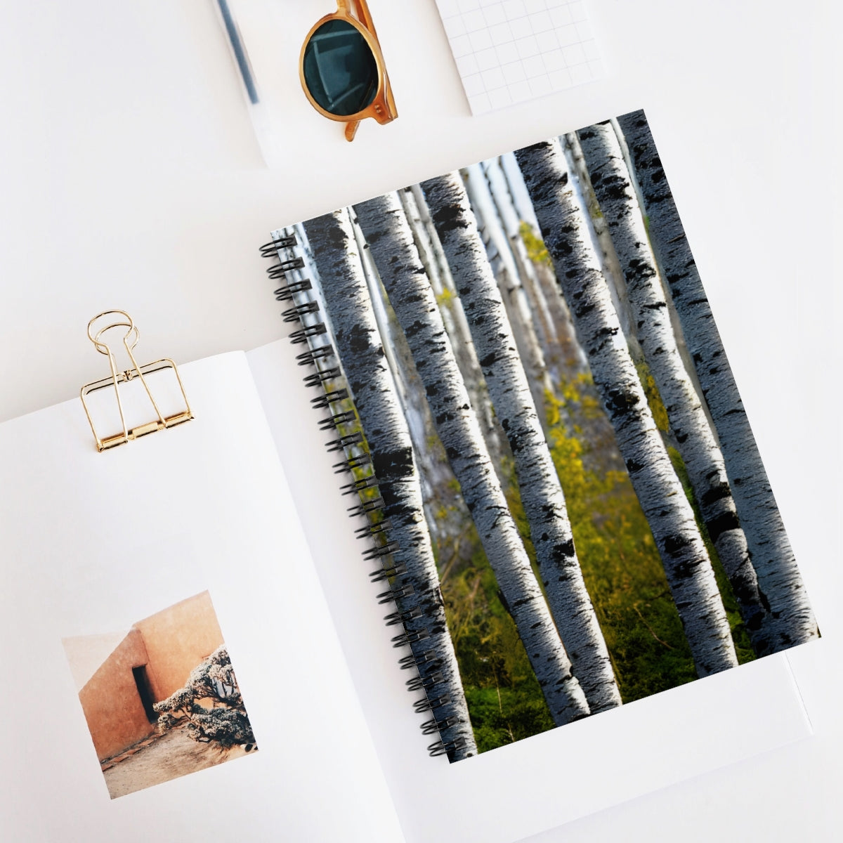 Birch Tree Backdrop Spiral Notebook for Creative Note-taking